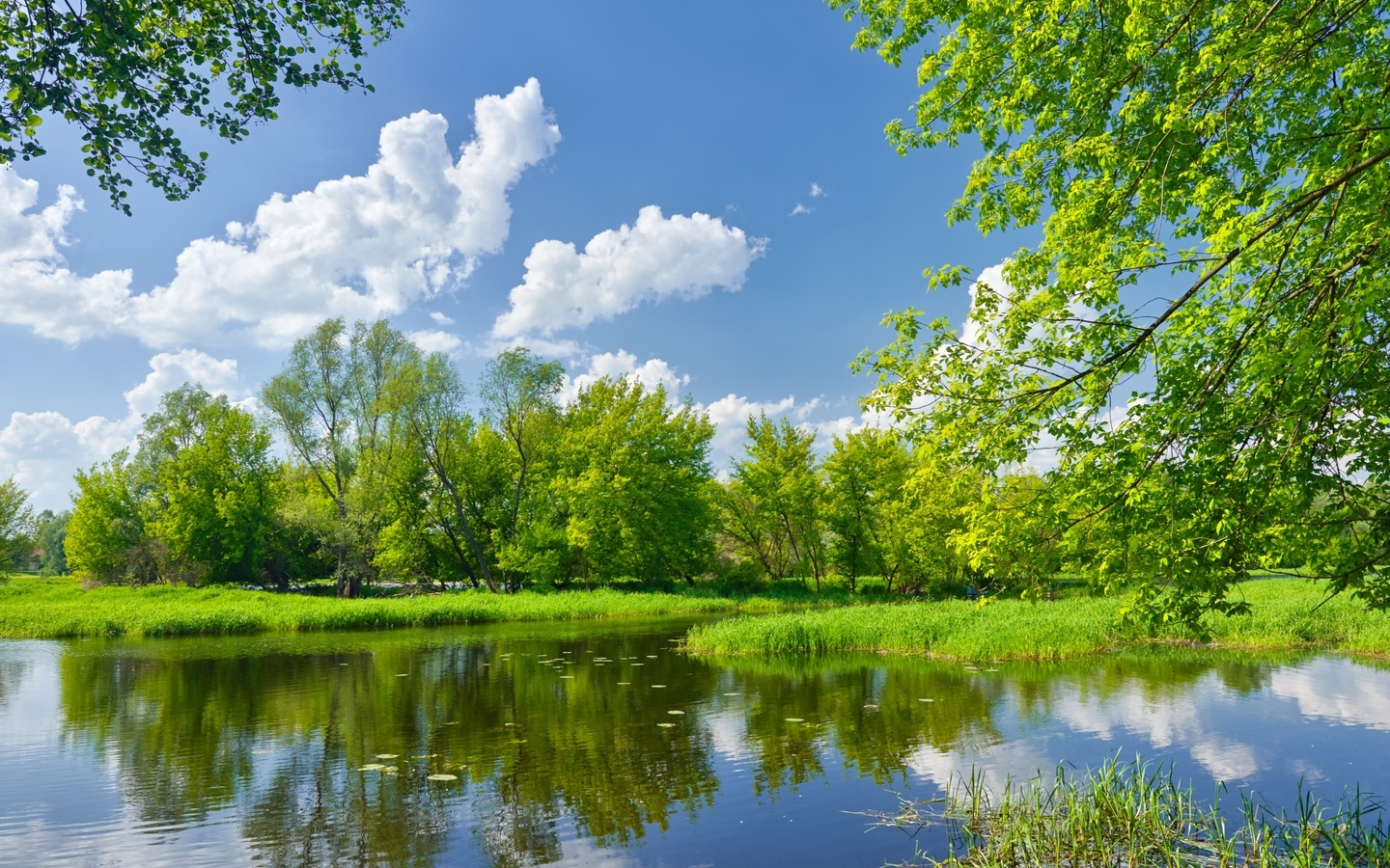 Image: River, summer, landscape, water, reflection, trees, clouds