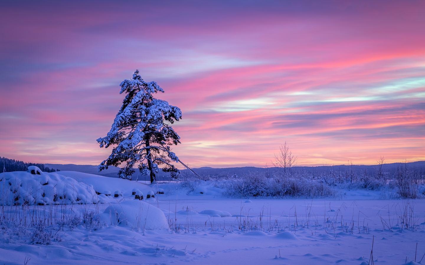 Картинка: Зима, снег, дерево, небо