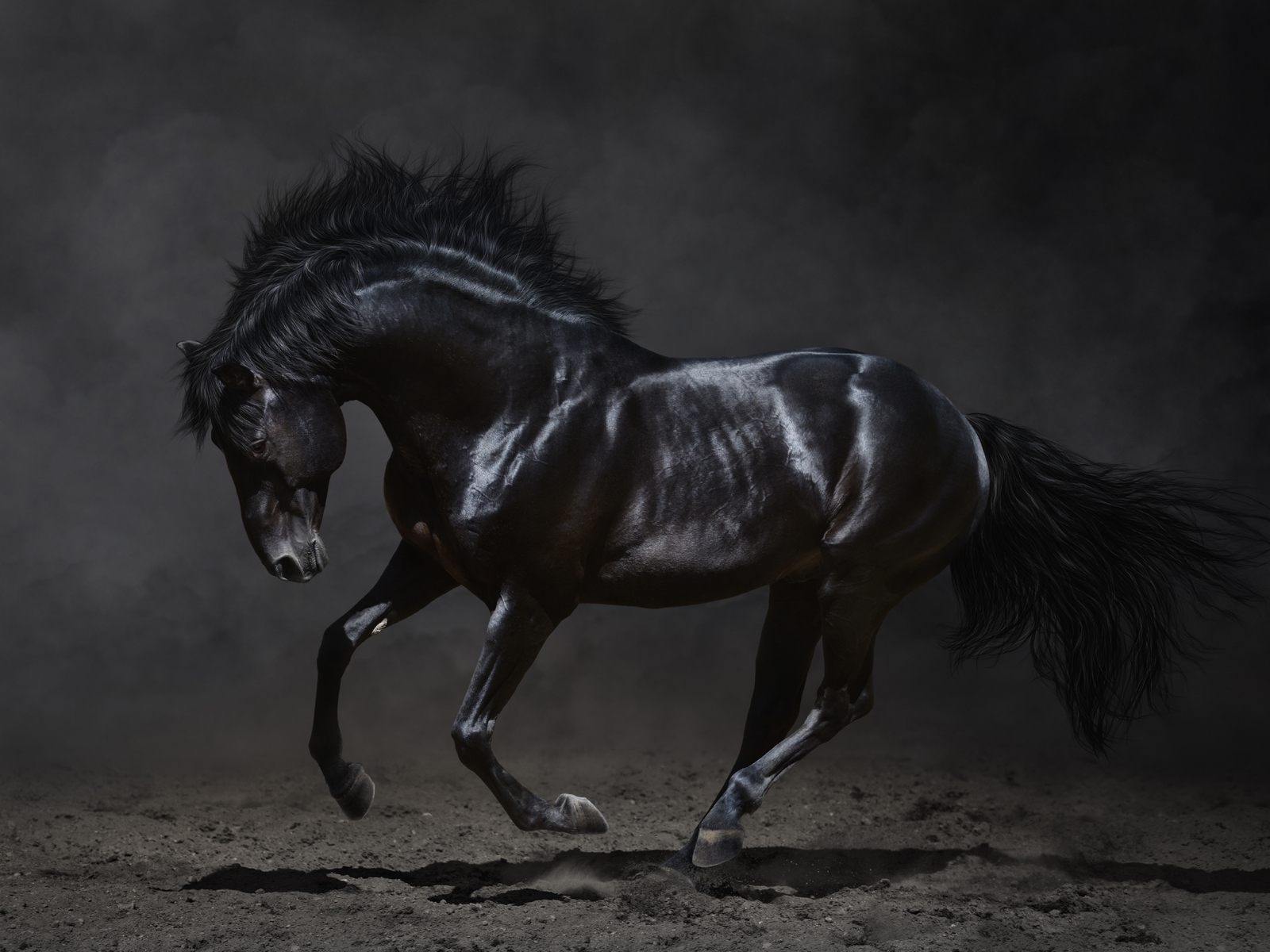 Картинка: Лошадь, чёрная, скачет, земля, красивая, пыль, дым