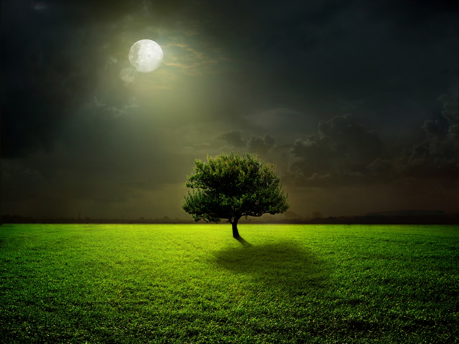 Картинка: Дерево, поле, трава, ночь, луна, полнолуние, свет, отражение, небо, облака