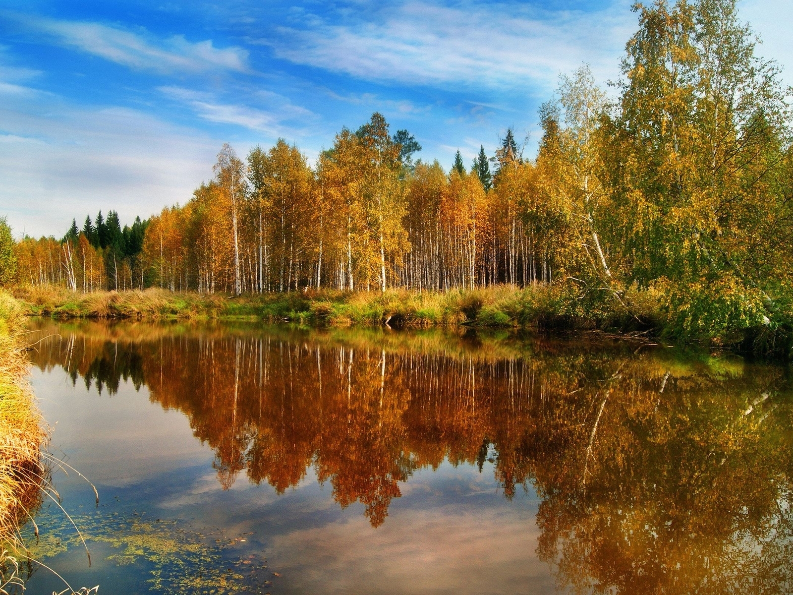 Image: Autumn, trees, foliage, grass, reflection, lake, water, day, sky, clouds