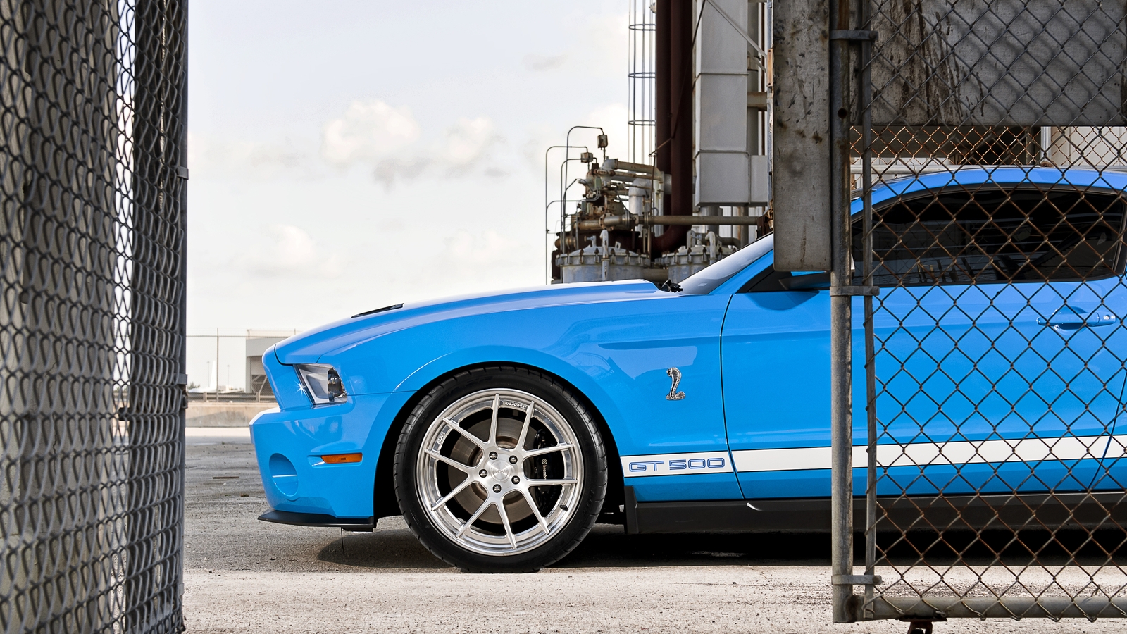 Image: Ford, Mustang, Shelby, GT 500, blue, wheel, fence, mesh