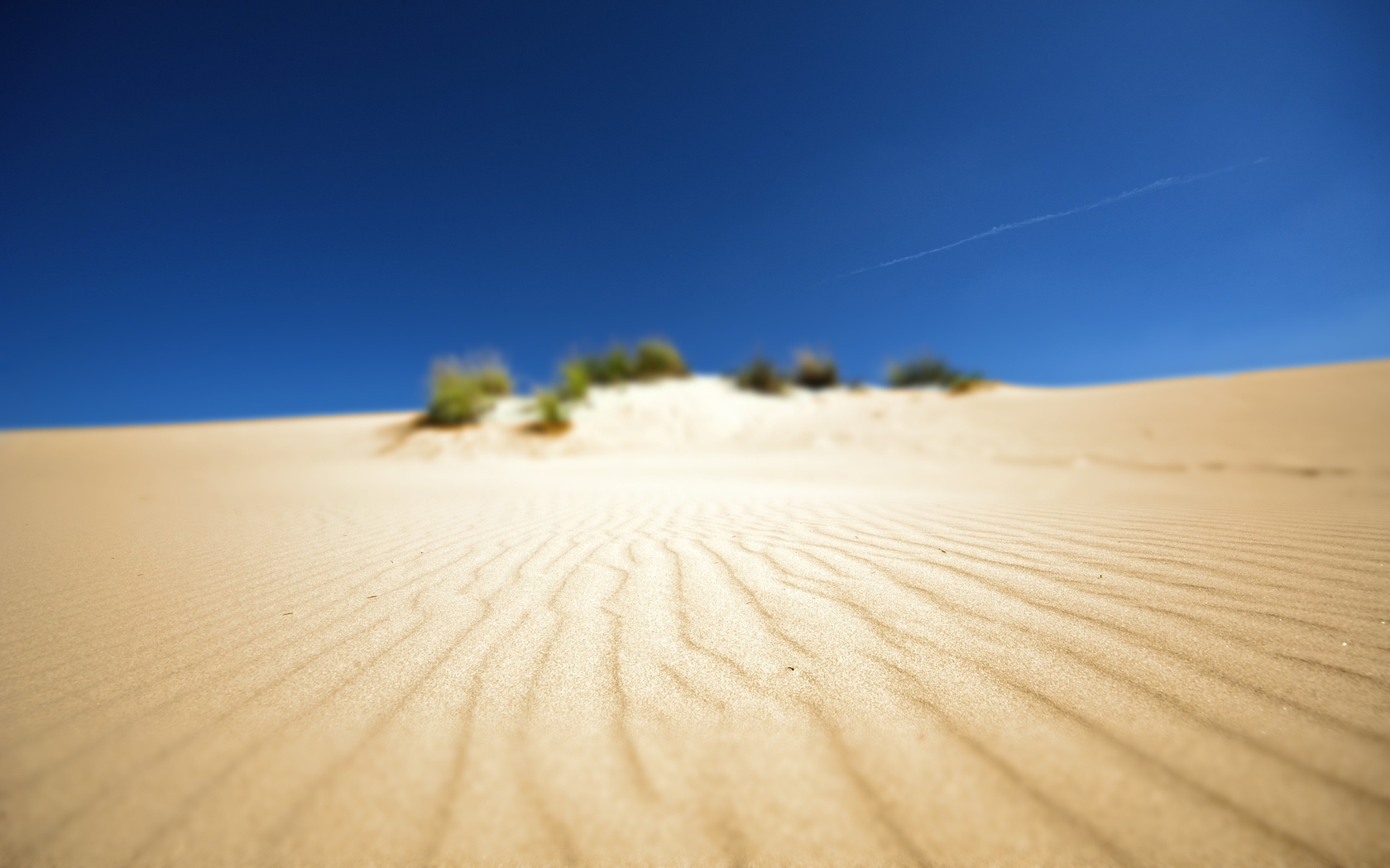Image: Desert, sky, sand, ripples, waves, bushes, vegetation, focus