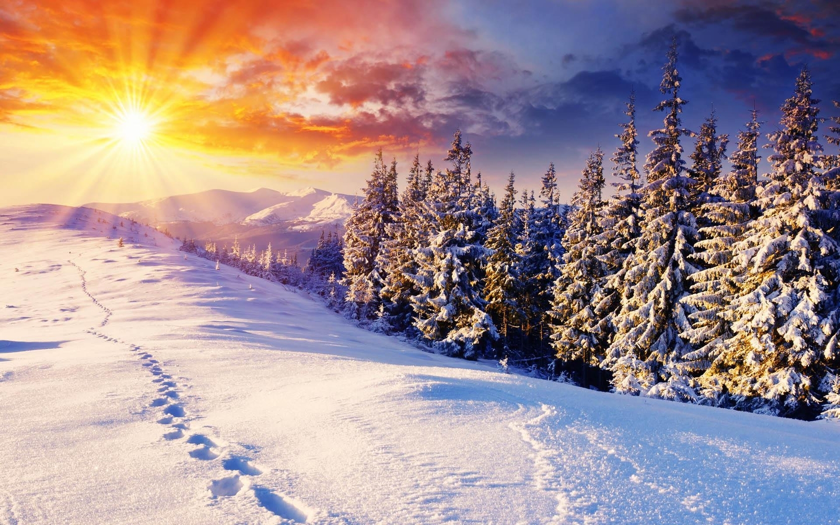 Image: Winter, snow, forest, needles, mountains, sky, sun, rays, traces