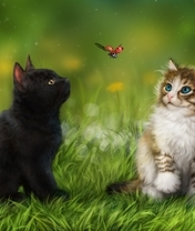 Image: Kittens, grass, ladybug, fly, watch