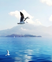 Картинка: Чайки, остров, летят, море, вода, небо, облака