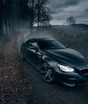Image: BMW, m6, black, light, road, foliage, trees