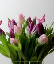 Image: Tulips, flowers, bouquet, leaves, butterflies