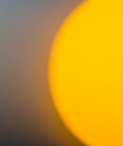Image: Drops, sun, yellow, sunset, string of web