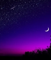 Image: Night, stars, moon, month, light, sunset, silhouette, tree, horizon, sky
