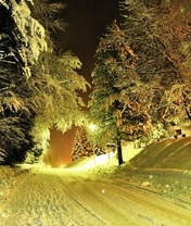 Картинка: Зима, лес, дорога, деревья, ель, снег, свет, вечер, ночь