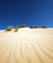 Image: Desert, sky, sand, ripples, waves, bushes, vegetation, focus