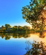 Картинка: Небо, деревья, листья, вода, озеро, река, закат, солнце, лучи, отражение, вечер, лето