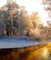 Картинка: Деревья, ветки, снег, иней, река, закат, небо