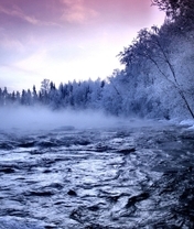 Image: river, fog, forest