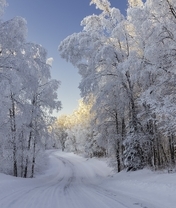 Картинка: зима, дорога, лес, деревья, снег, пейзаж