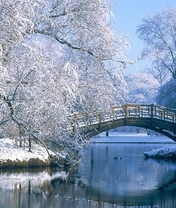Image: Winter, cold, trees, frost, snow, river, reflection, wooden bridge, ducks