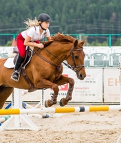Картинка: Конь, прыжок, движение, девушка, всадница, шлем, экипировка