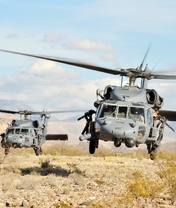 Картинка: Военный вертолёт, Sikorsky UH-60 Black Hawk, Чёрный ястреб, лопасти, летит, тень, ветки