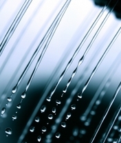 Image: Rain, drops, water, macro, liquid
