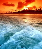 Картинка: Остров, пальмы, вода, пена, закат