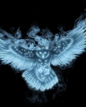 Картинка: Сова, крылья, чёрный фон, частицы