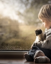 Картинка: Мальчик, сидит, котёнок, окно, капли, дождь, грусть