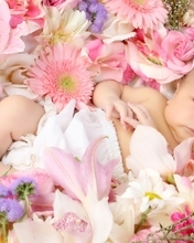 Картинка: Малыш, ребёнок, глаза, взгляд, лежит, цветы, роза, гербера