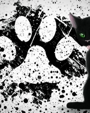 Image: Trail, black, blots, eyes, green, cat
