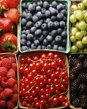 Image: Strawberries, blueberries, gooseberries, raspberries, red currant, BlackBerry
