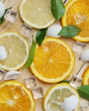 Картинка: Лимон, апельсин, дольки, лёд, ракушки