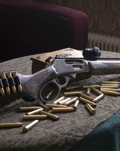 Image: Rifle, carbine, shotgun, Marlin 1895 Sbl, bullets, table