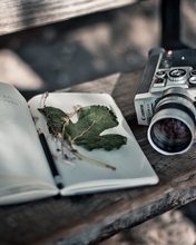 Image: Camera, Canon, book, leaf, lying, bench