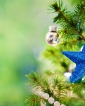 Image: Blue star, needles, spruce, beads, balls, decoration
