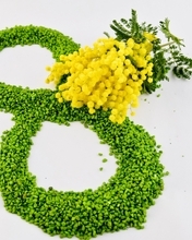Картинка: Праздник, восьмёрка, 8 марта, мимоза, цветы, жёлтый, веточка, белый фон