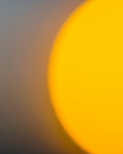 Image: Drops, sun, yellow, sunset, string of web