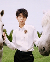 Картинка: Парень, лошадь, белая, позирует, природа