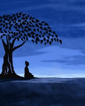 Картинка: Ночь, небо, дерево, девушка, силуэт, звезда, поле
