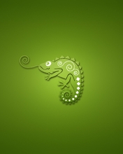 Картинка: Хамелеон, язык, глаз, хвост, зелёный фон