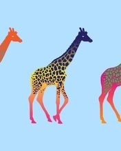 Image: Giraffes, three, spots, animals, color, background, style, pop-art