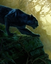 Картинка: Книга джунглей, Jungle Book, Маугли, ребёнок, Багира, чёрная пантера, хищник, кошка, руины