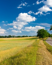 Картинка: Дорога, трасса, даль, лето, трава, деревья, поле, небо, облака, день