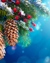 Image: Winter, tree, branches, cones, snow, berries, bokeh