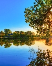 Картинка: Небо, деревья, листья, вода, озеро, река, закат, солнце, лучи, отражение, вечер, лето