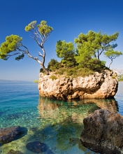 Image: Rock, trees, sea, water, stones, sky
