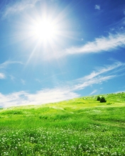 Картинка: Пейзаж, поле, трава, небо, солнце, облака