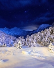 Image: Winter, snow, forest, night, sky, stars, tree, hill, mountain