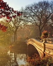 Image: Park, river, water, bridge, lamppost, flowerpots, autumn, trees, leaves