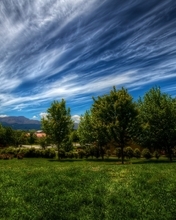 Картинка: Пейзаж, деревья, зелень, трава, облака, небо, горы