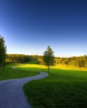 Image: Road, field, trees, summer, sky, shadow